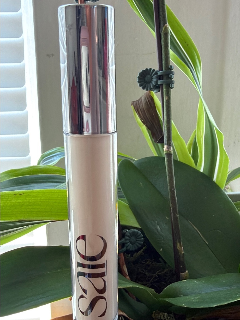 Salté Radiant Liquid Concealer - Cream Shade